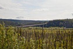 E. L. Patton Yukon River Bridge