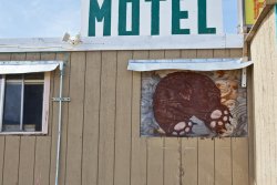 A bear had broken into the building, so they repaired the window with a painted bear butt