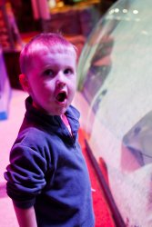 Will at the Sea Life MN Aquarium