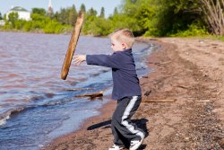 Andrew throwing more driftwood