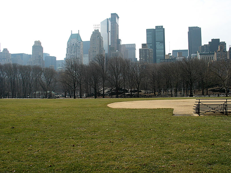 Skyline from Heckscher Ballfields