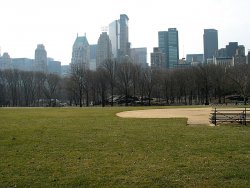 Skyline from Heckscher Ballfields